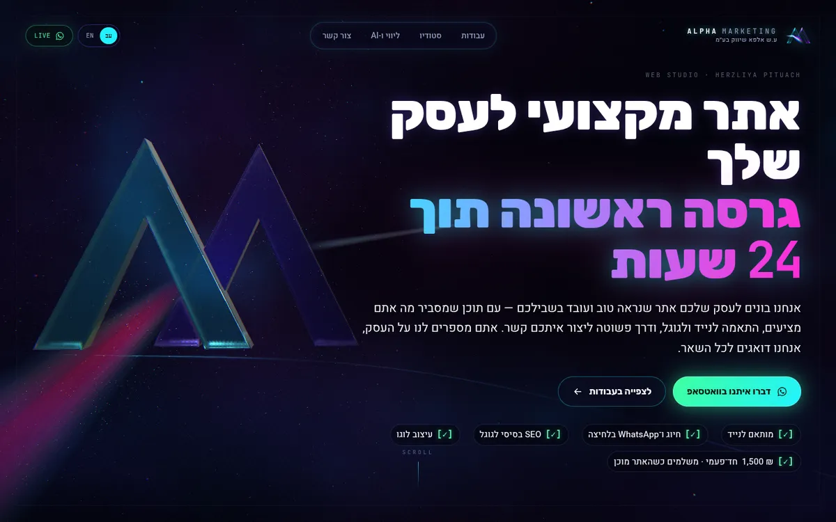 צילום מסך של אתר Alpha Marketing במחשב